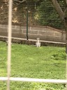 Hittantábor 41 - thumbnail